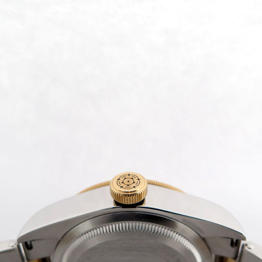 Tudor 79733N Black Bay S&G 18K/SS with Champagne Dial on Bracelet - Image 4