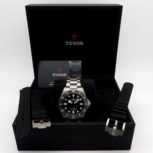 Alternative view of Tudor 25407N Pelagos 39mm Titanium