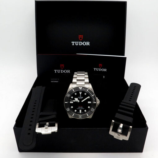 Alternative view of Tudor 25407N Pelagos 39mm Titanium