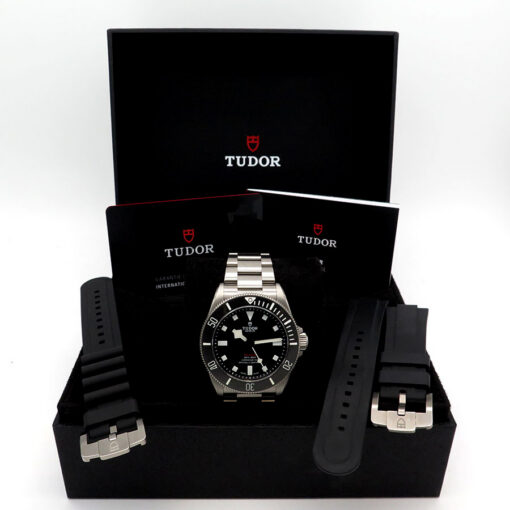 Alternative view of Tudor 25407N Pelagos 39mm Titanium