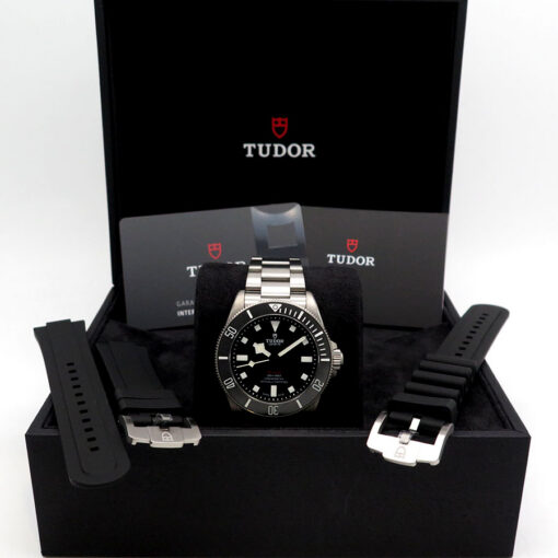 Alternative view of Tudor 25407N Pelagos 39mm Titanium