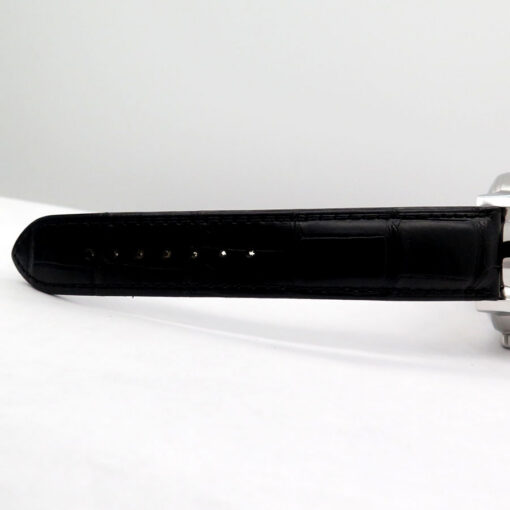 Glashutte PanoMaticLunar with Silver Dial on Leather - Image 8